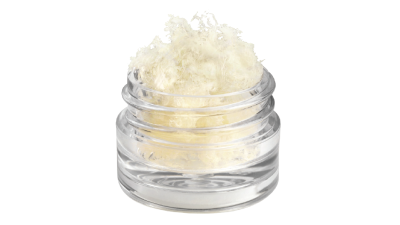 (IMAGE 1) BONE ALLOGRAFTS