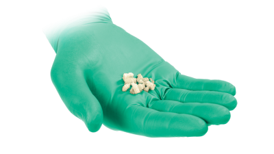 (IMAGE 2) BONE ALLOGRAFTS