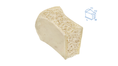 sterigraft-ilium-tricortical-block